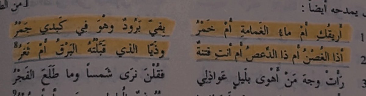 هنَادي العتيبي| كاتبة🇸🇦. tweet media