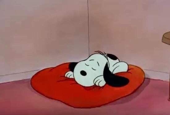 Daily Snoopy tweet media