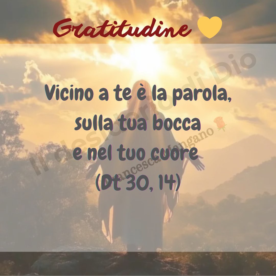 Francesca Mangano (@gaiasara73) on Twitter photo 
