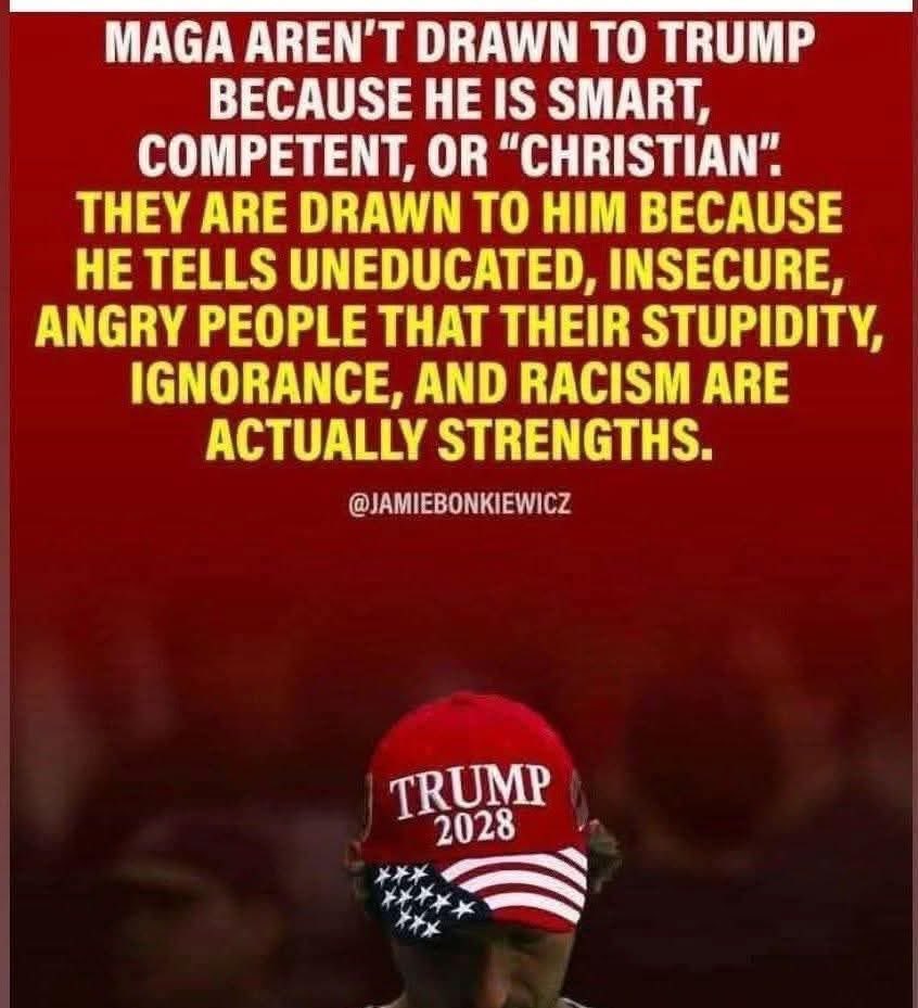 liberalsupporter tweet media