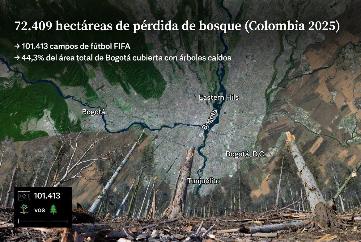 Para que entiendan la extensión perdida solo el año pasado (principalmente en la Amazonía) es el equivalente a el 44,3 % del territorio completo de Bogotá (casi la mitad de la ciudad, incluyendo zonas urbanas y rurales, o a 101,000 campos de futbol.  Esta perdida de bosque