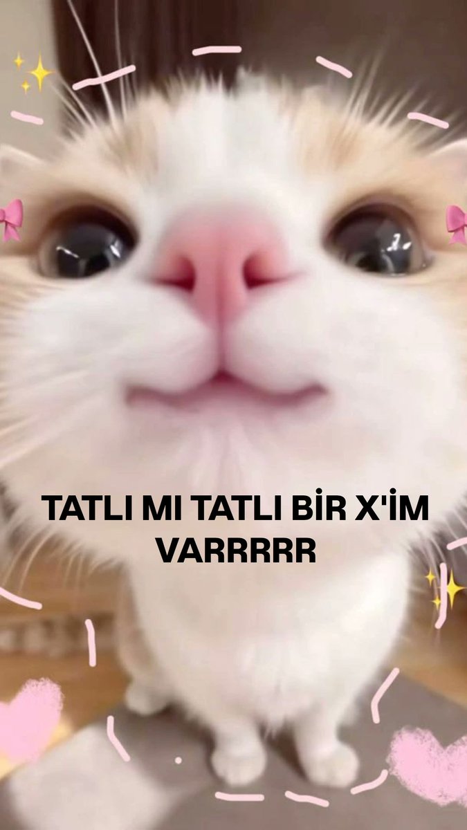 yuna ☪︎ ulucami/hanlar bölgesi tweet media