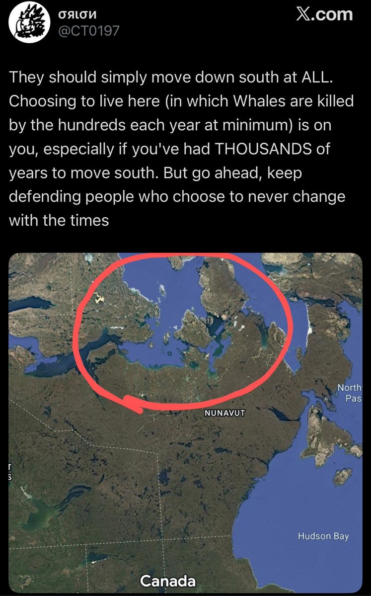 fish 🇨🇦 tweet media
