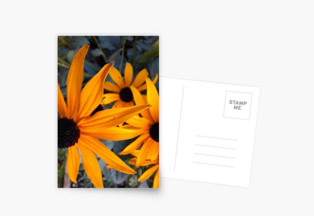 DianasLuton's tweet image. #YellowFlowers 🏵

#Luton #GreetingCard #Postcard

👇👇👇
redbubble.com/i/greeting-car…