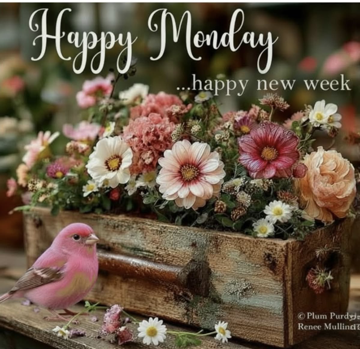 shakonini62's tweet image. Feliz indicio de semana mis amores DLB♥️LQM 

Beautiful blessed week my Lovelies GBU ♥️ ILY 

#NewWeekVibes 
#FelizSemana 
#JoyTrain 
#Love 
#Blessings 
#Friendship 
#Peace 
#Kindness