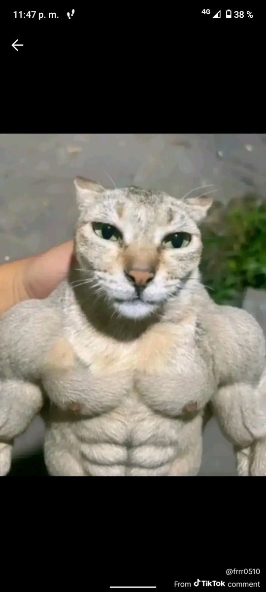 catmusks's tweet photo. حنا كما حنا ولا احد يمتحنا ترجع كما كنت نرجع كما كنا ماتبانا مانباك ماترانا مانراك هشك بشك وخر لااقشك 🫵🐈‍⬛
#تاسي https://t.co/FLNRMSOBlp