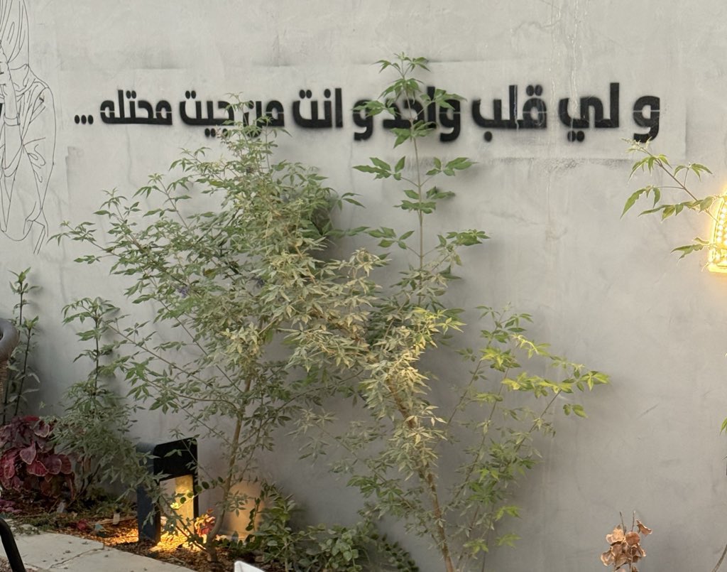 نَ🌱 tweet media