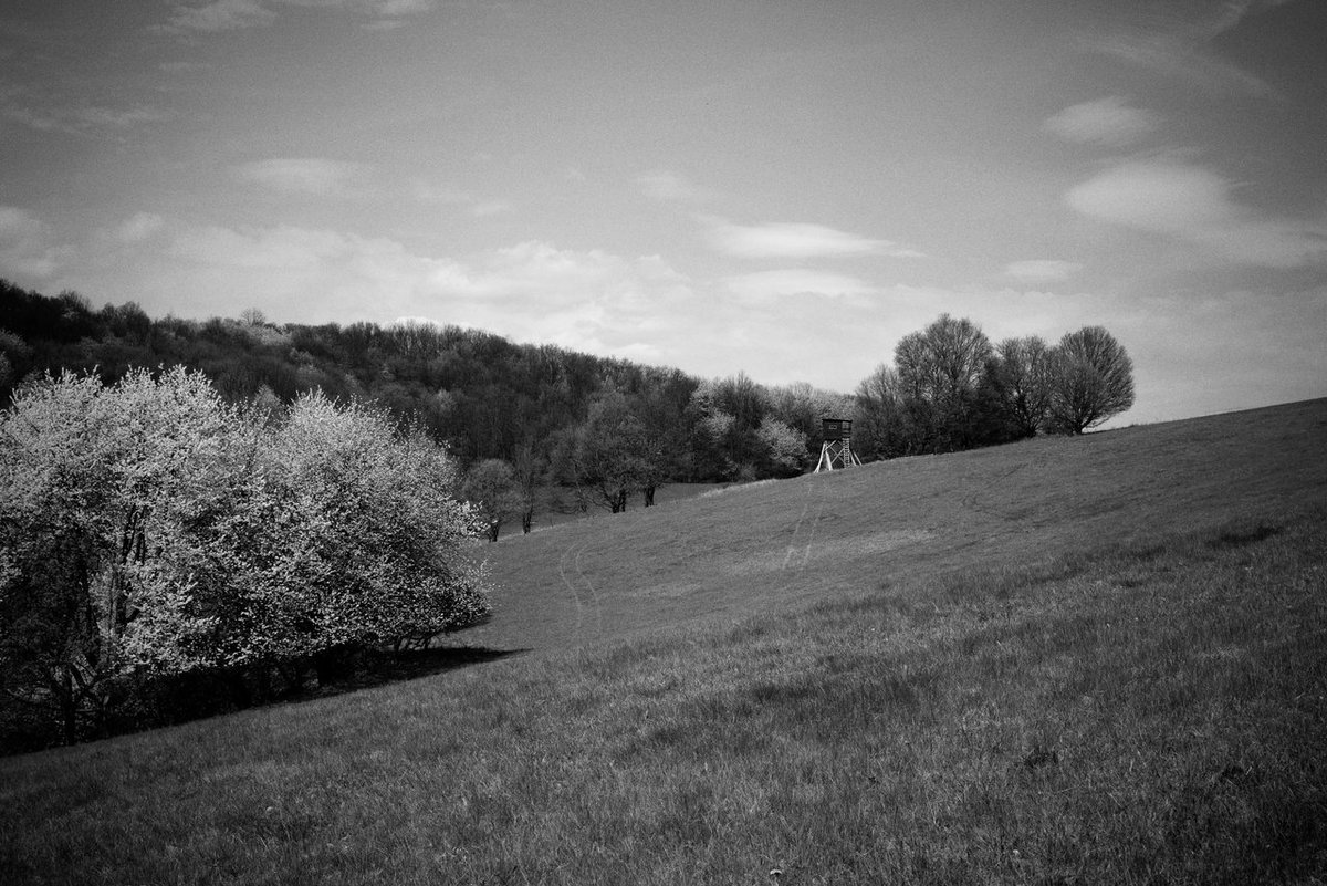 termintechnikus's tweet photo. meadows of dreams https://t.co/uQTdGiiiWm