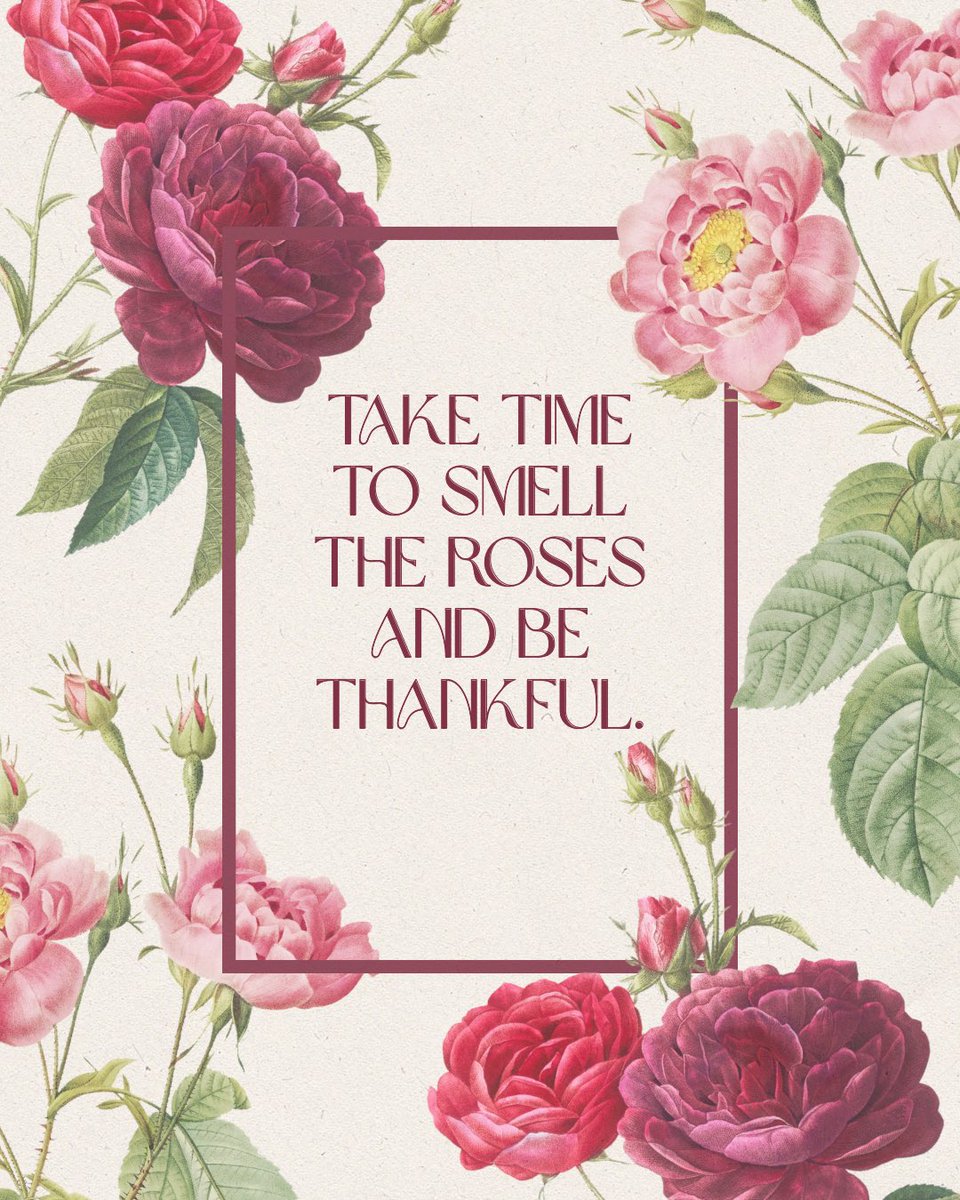 authordenijones's tweet image. Life is busy, but one thing I try to remember is to appreciate the small things. They can mean so much.
#5amwritersclub
 #writingcommunity 
#motivationmonday 
#positivemindset