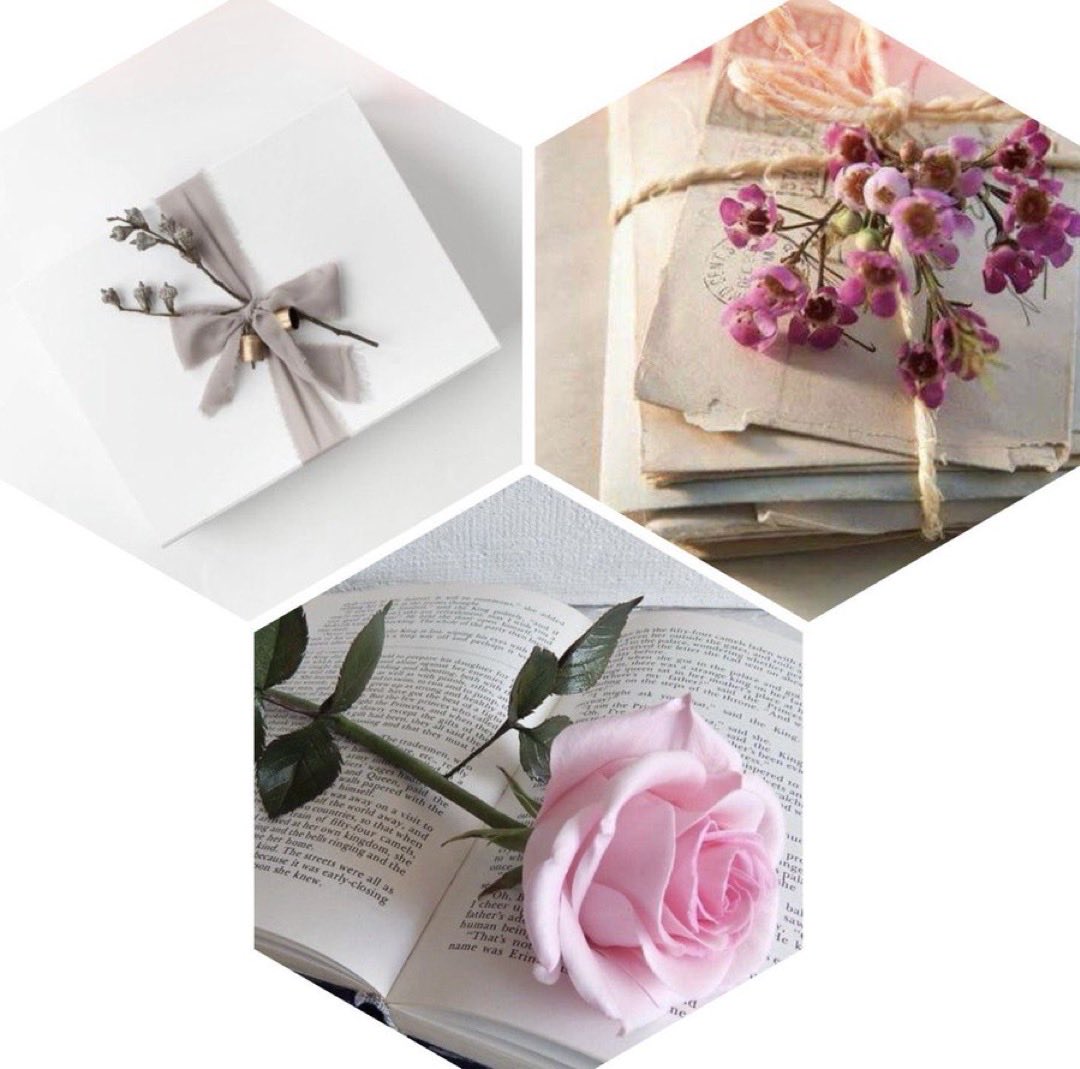 ♥️قمر الزمانً🌹.🦌 tweet media