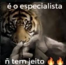Davi tweet media