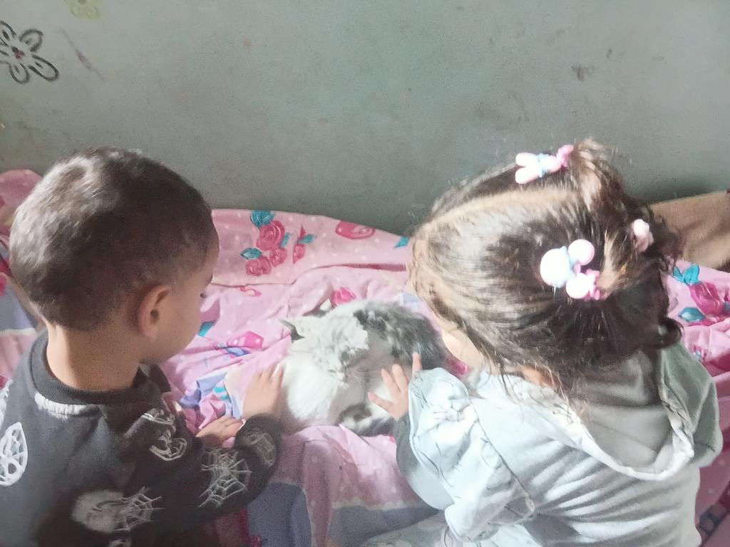 Why doesn't anyone want to support us? 
We are not terrorists 
We are just people who need your help. Support their childhood and their innocent voices