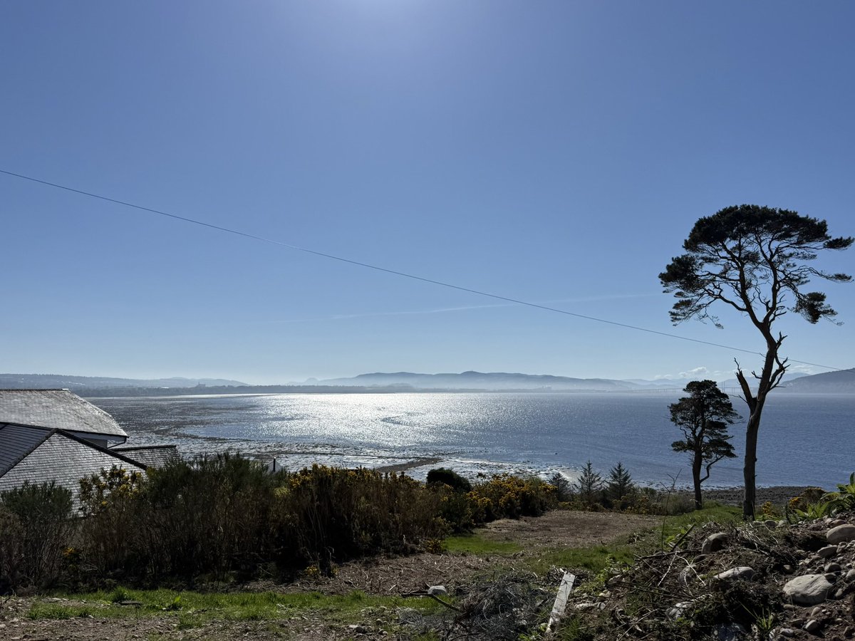 JoshsWildlife's tweet image. Whilst out looking for local birds, the views are always pretty spectacular too, especially with the lovely weather we had last week.

#BirdingScotland #Scotland #Highlands