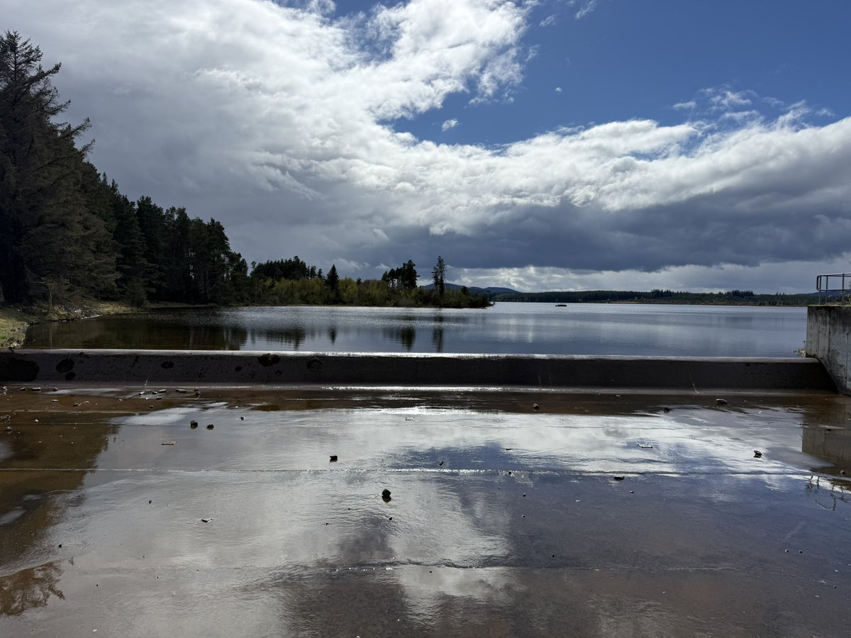 JoshsWildlife's tweet image. Whilst out looking for local birds, the views are always pretty spectacular too, especially with the lovely weather we had last week.

#BirdingScotland #Scotland #Highlands