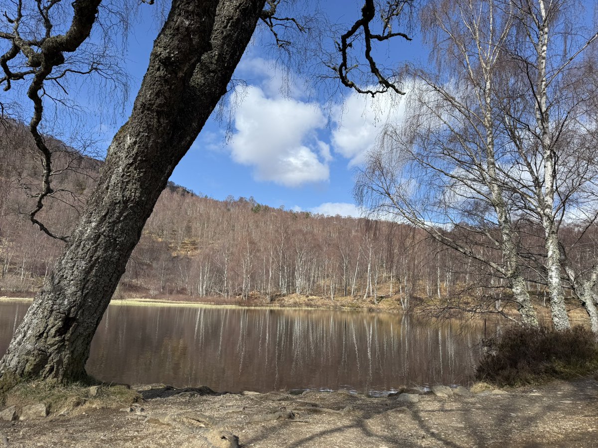 JoshsWildlife's tweet image. Whilst out looking for local birds, the views are always pretty spectacular too, especially with the lovely weather we had last week.

#BirdingScotland #Scotland #Highlands