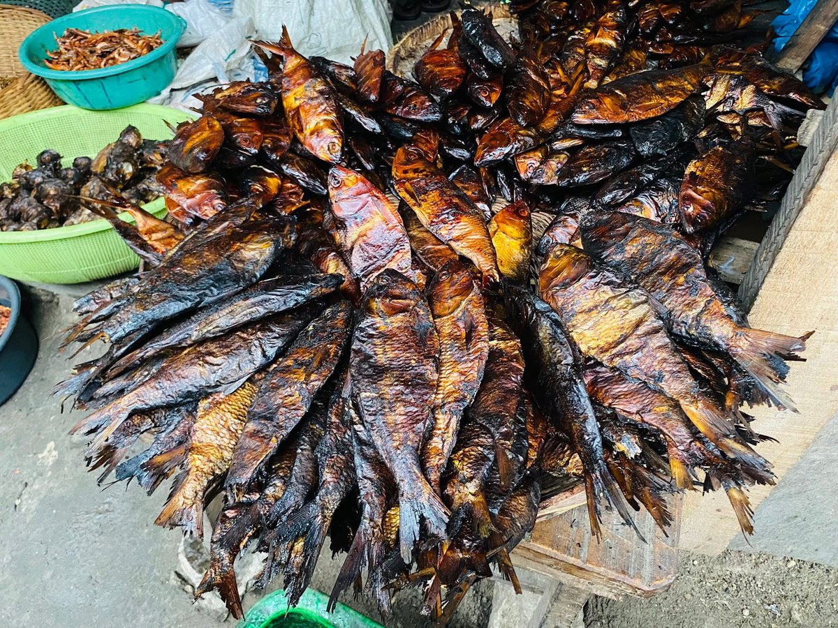 BrendaEbyslady's tweet image. If I no market my Market Errands on Bonga fish, wetin I gain? I carry my market for head like  Elon Musk and BLord 

Send your fish market errands online 
DMs to get your fish. 
Delta state fish is the best!! 

Come to Delta state 

25 pics  $12 
#driedfish #marketday #fishmarket