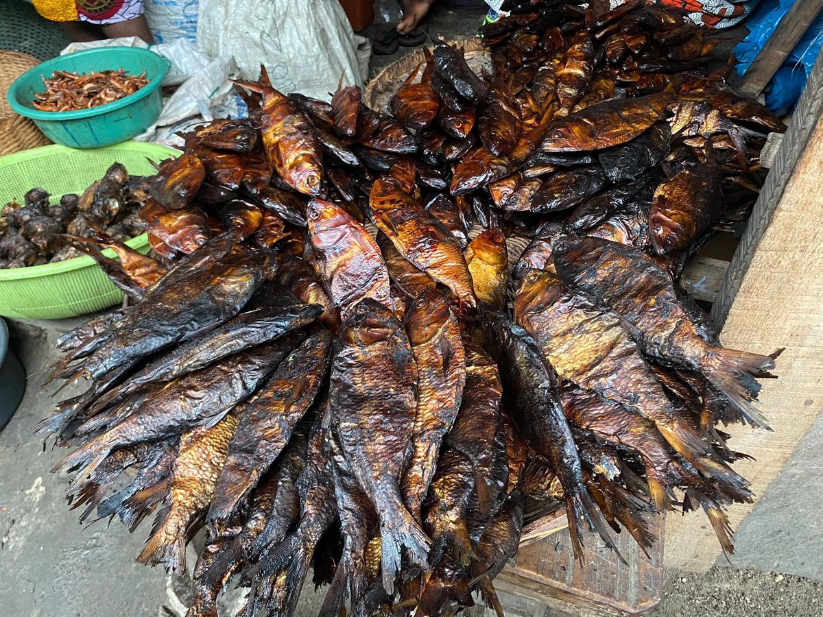 BrendaEbyslady's tweet image. If I no market my Market Errands on Bonga fish, wetin I gain? I carry my market for head like  Elon Musk and BLord 

Send your fish market errands online 
DMs to get your fish. 
Delta state fish is the best!! 

Come to Delta state 

25 pics  $12 
#driedfish #marketday #fishmarket