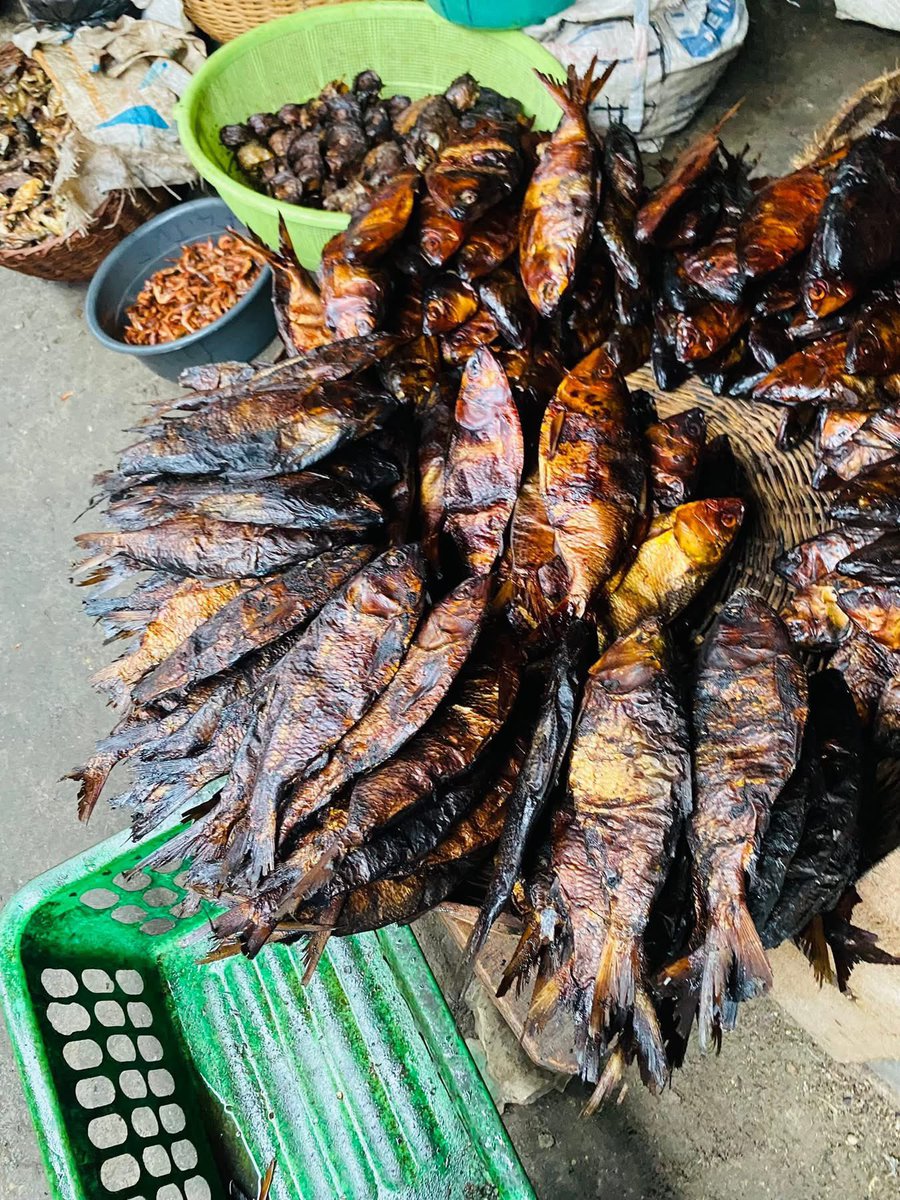 BrendaEbyslady's tweet image. If I no market my Market Errands on Bonga fish, wetin I gain? I carry my market for head like  Elon Musk and BLord 

Send your fish market errands online 
DMs to get your fish. 
Delta state fish is the best!! 

Come to Delta state 

25 pics  $12 
#driedfish #marketday #fishmarket