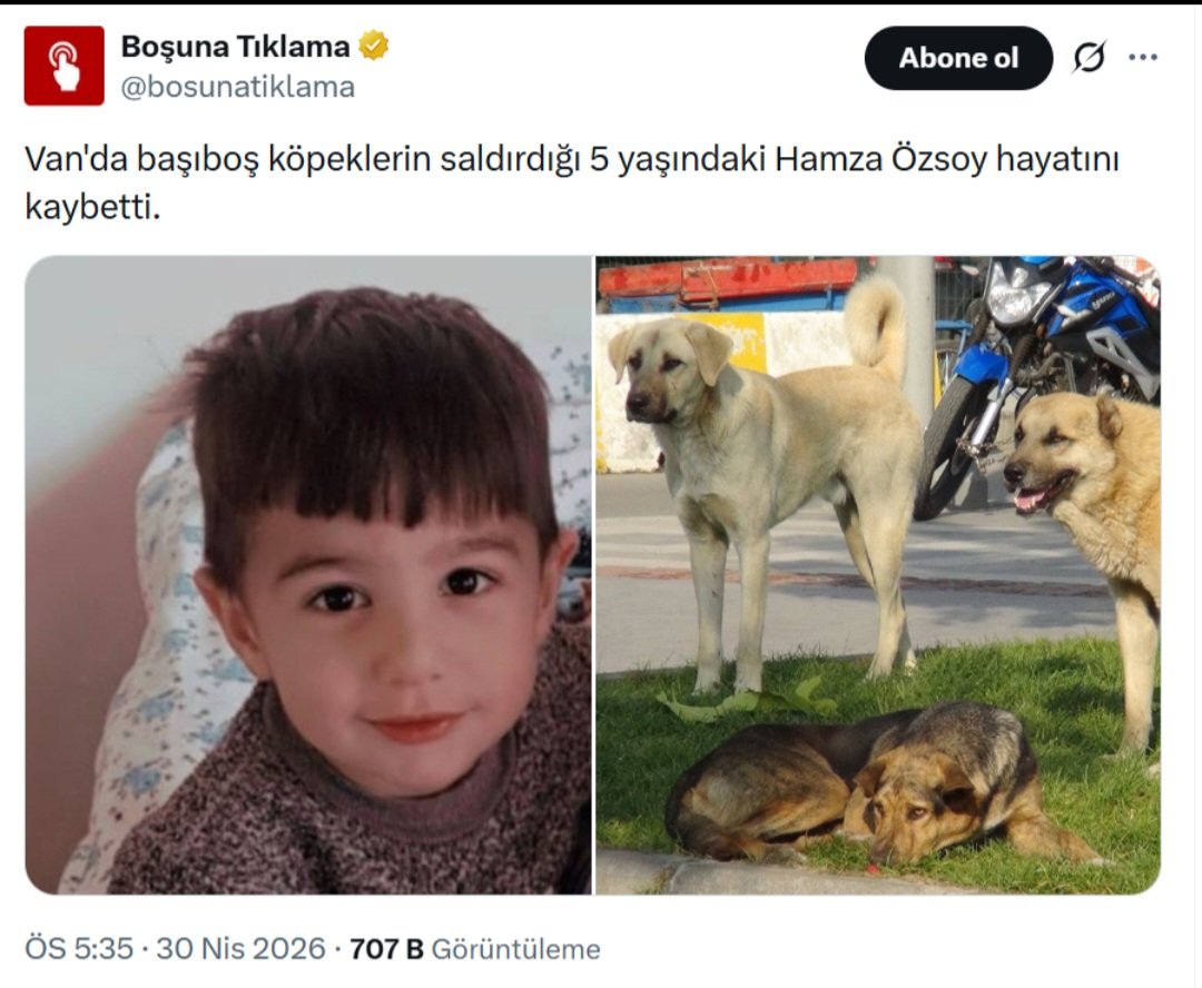 Sema Maraşlı tweet media
