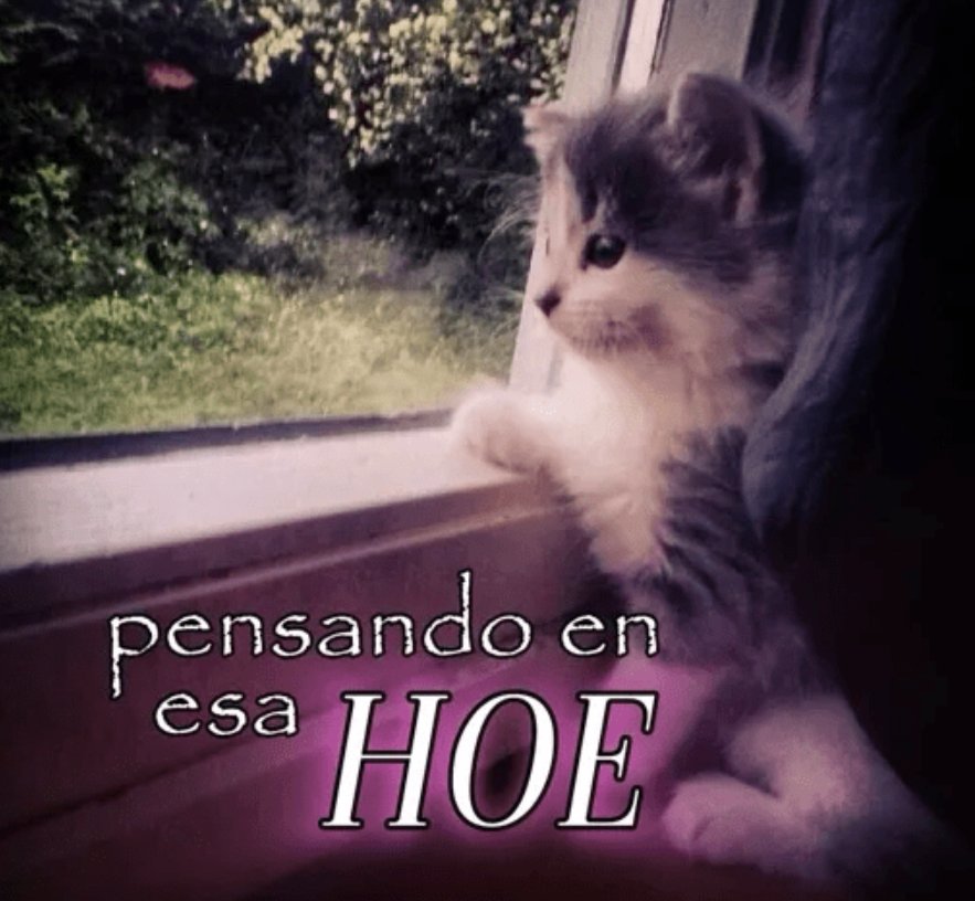 hoy más que nunca