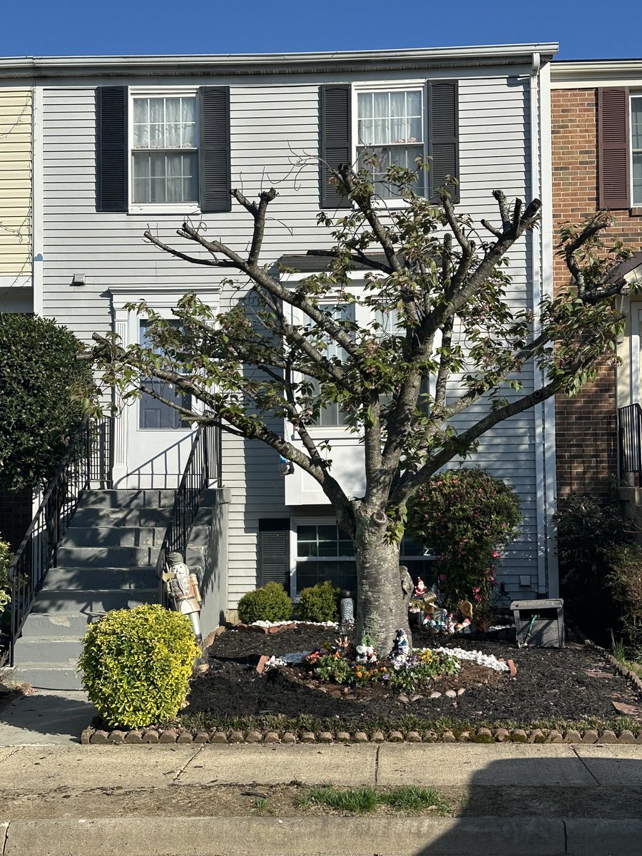 listingsnova's tweet photo. Coming Soon in Springfield, VA.

Updated townhouse with flexible living, outdoor space, and a commuter-friendly location buyers are looking for. 

Be first to see it before it hits the market. Call or text 571-462-2445

#SpringfieldVA #ComingSoon #NovaHomes https://t.co/soXts6SKvR