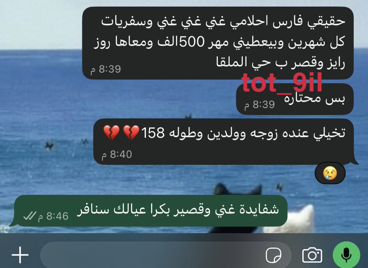 العتيبي tweet media