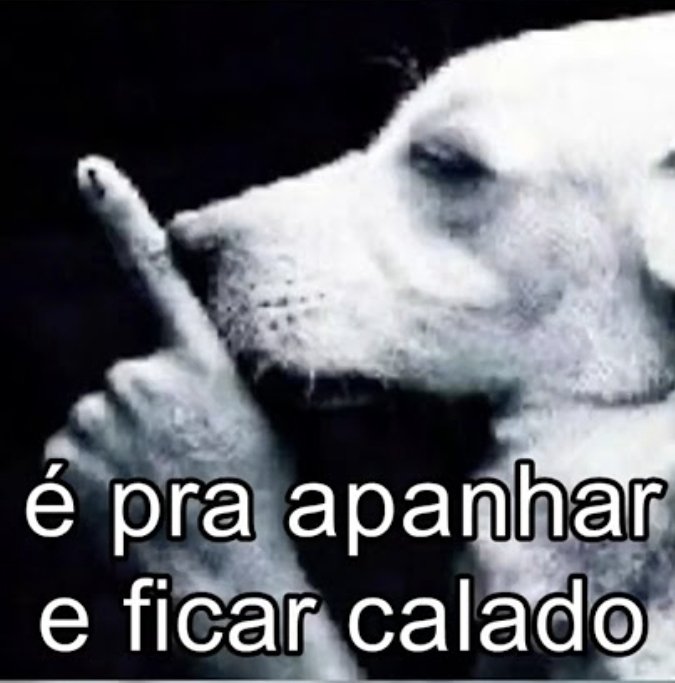 Mattio Rangel Morais tweet media