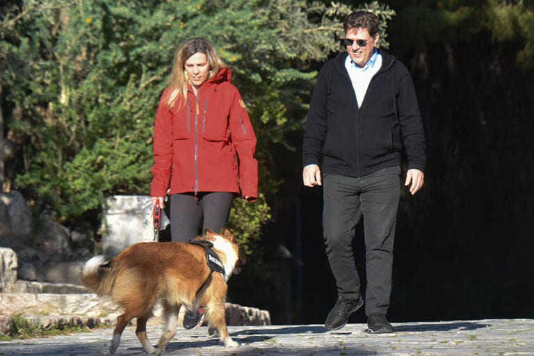 ΚΕΡΒΕΡΟΣ tweet media