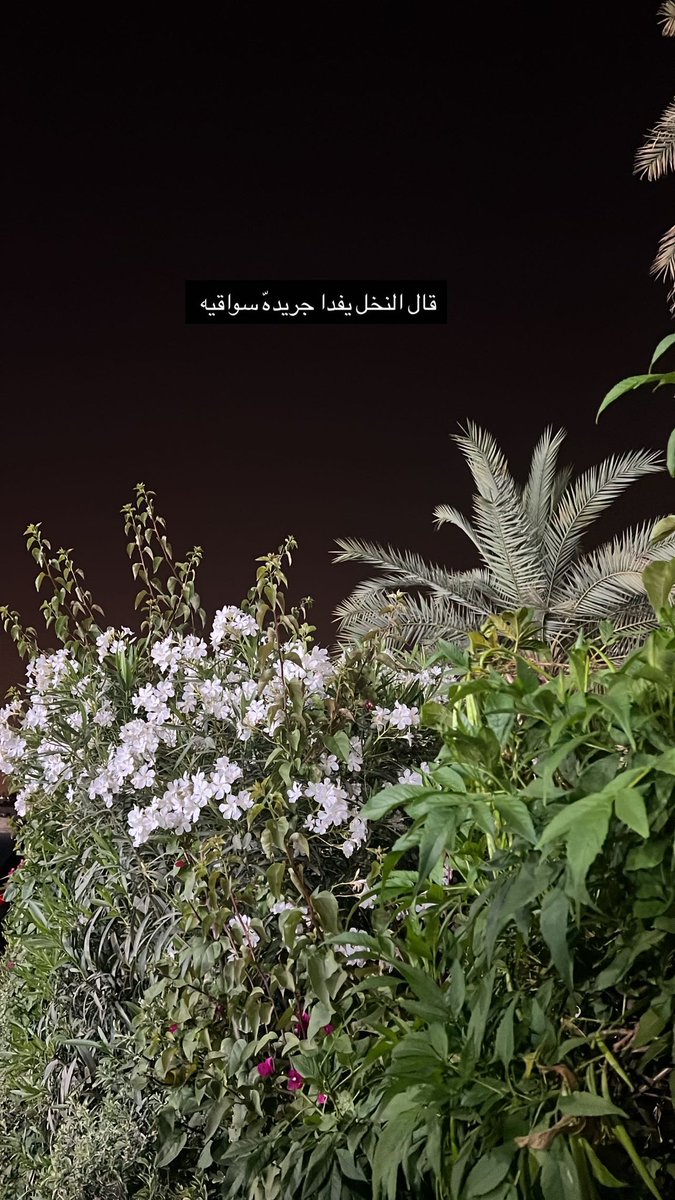nk___7's tweet photo. و أحب قرم ٍيوم ربعه شكوا له
قال : النخل يفدا جريده سواقيه https://t.co/0CII1bWsQv