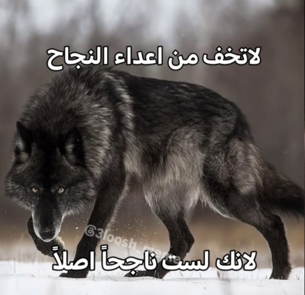 رِهـام tweet media