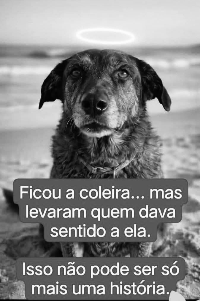 Marco Valverde ® tweet media