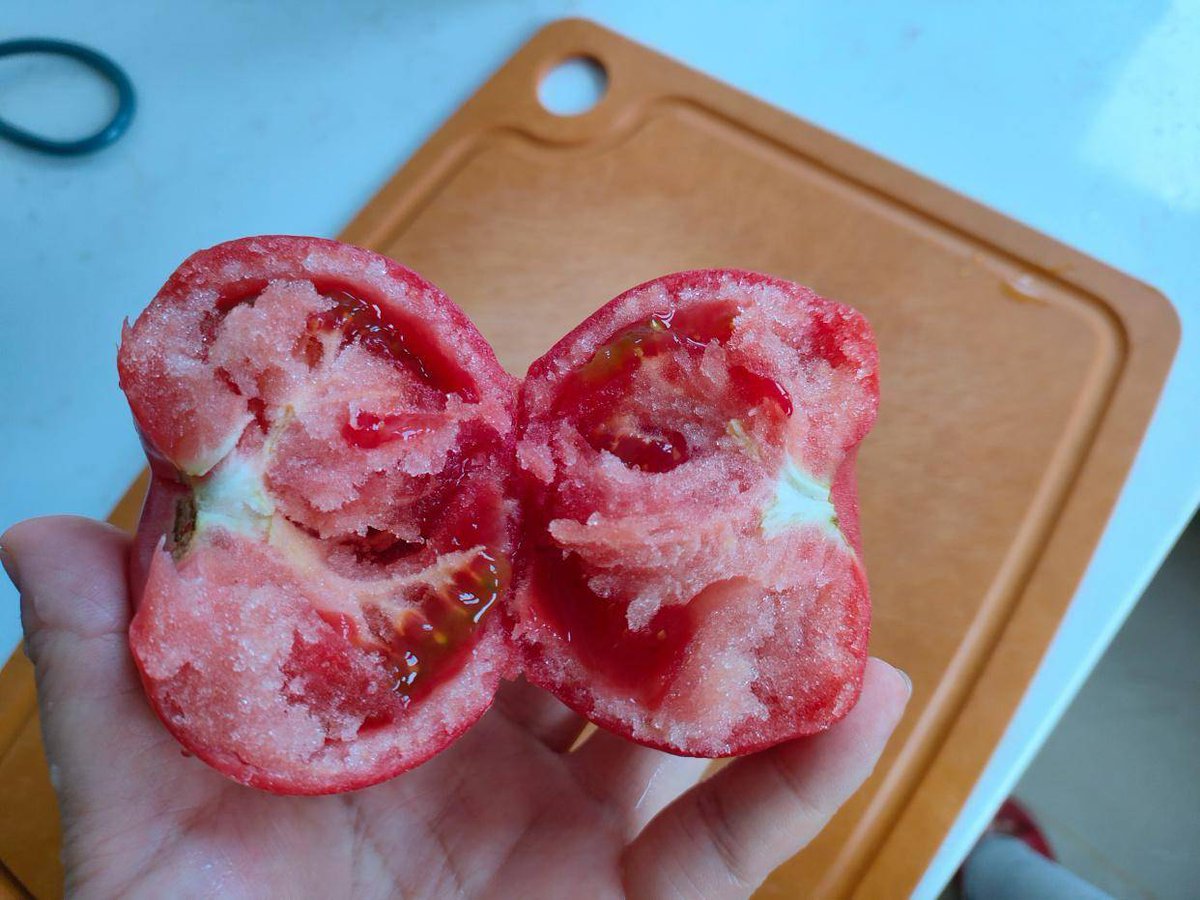 adam_iskandar88's tweet image. Tried these organic cherry tomatoes!  Bursting with sweet-tart flavor, firm texture, perfect for salads/snacks. No blemishes, juicy bite—worth every penny! #OrganicProduce #TomatoTest