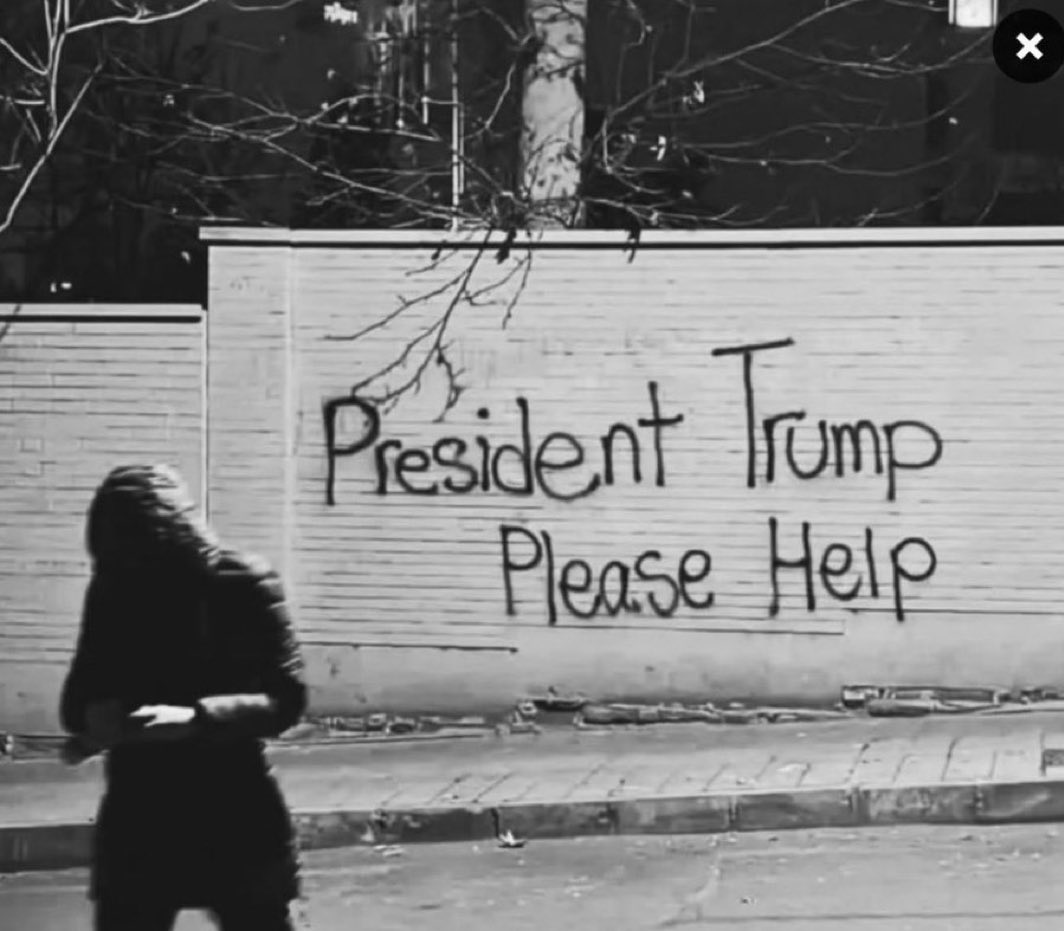 PEYAZAD's tweet photo. @LindseyGrahamSC Finish the Job please
#MIGA https://t.co/hRPfvsfqFg