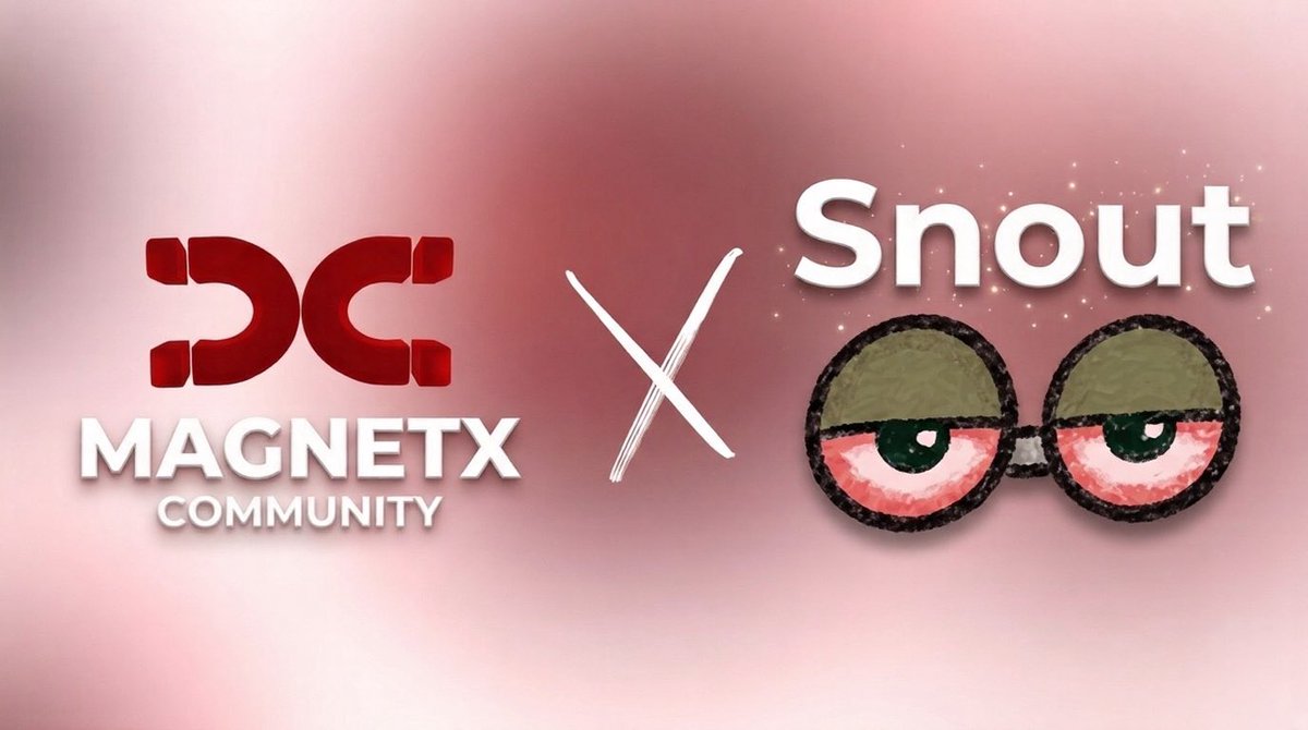 Magnet X ⭕️ tweet media