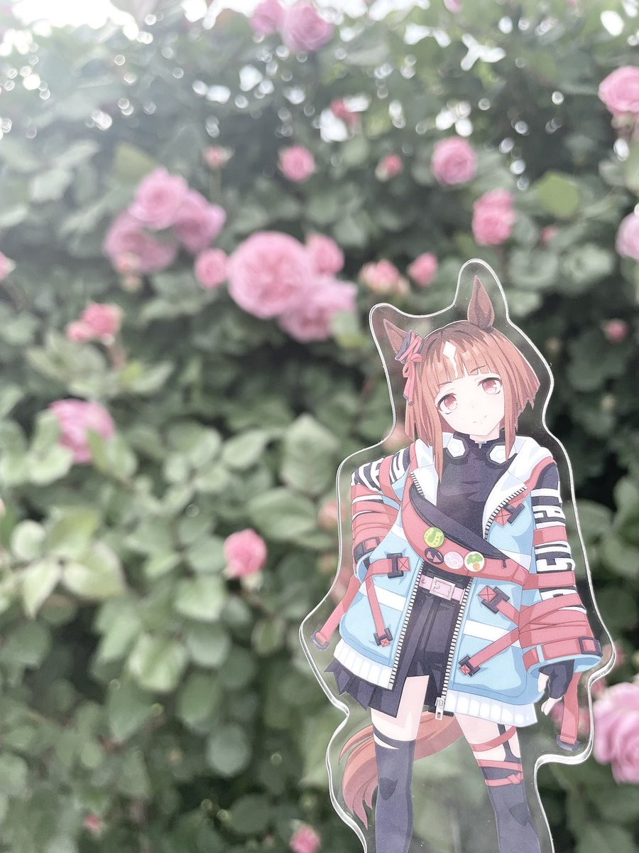 こんな世界中で出逢えたハニー🐰🎀⸝꙳