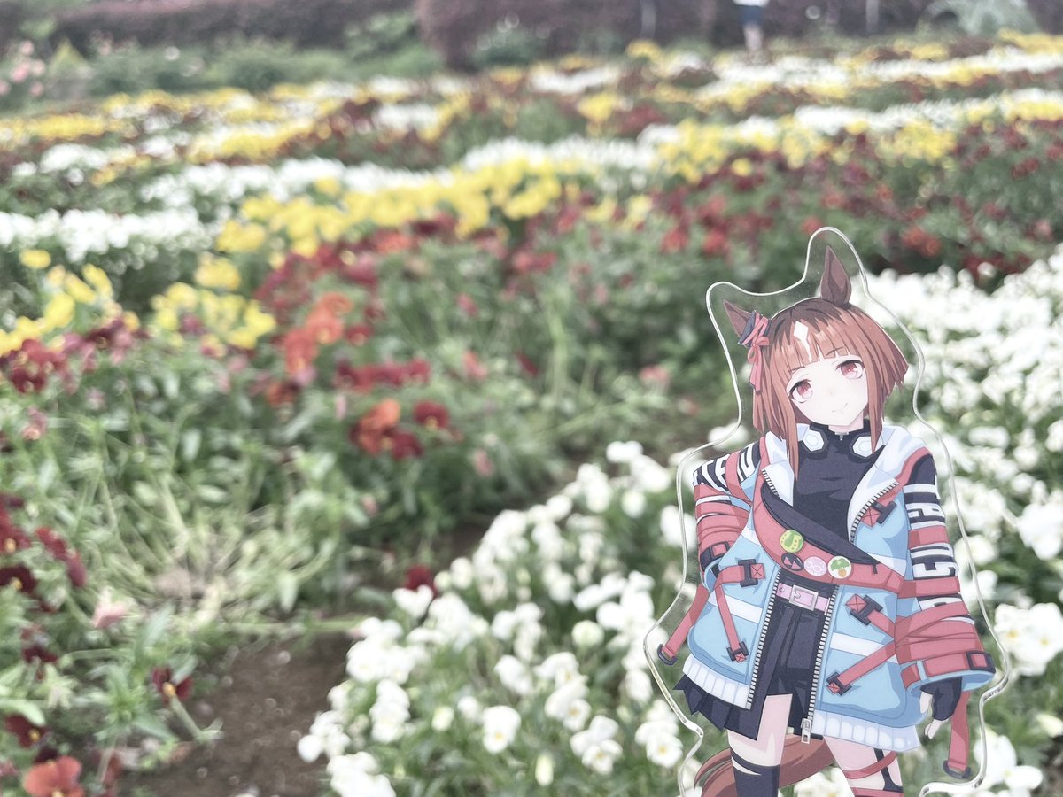 まな tweet media