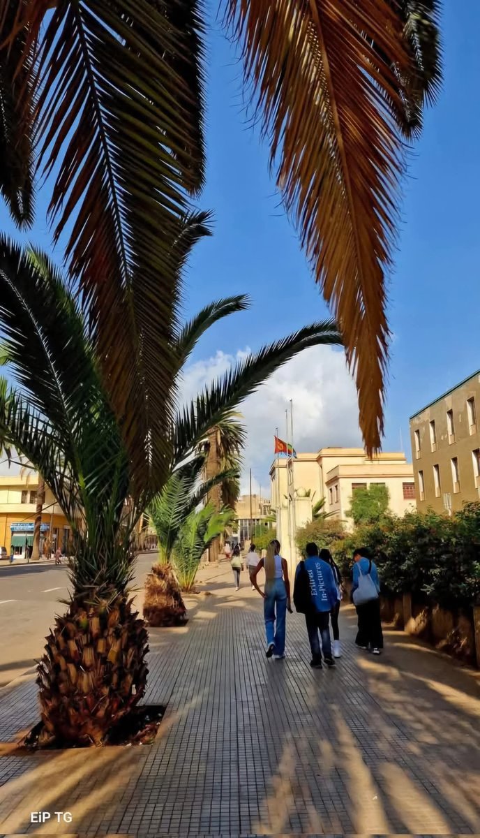 thedrosg1's tweet image. #Walking in #Asmara #Eritrea