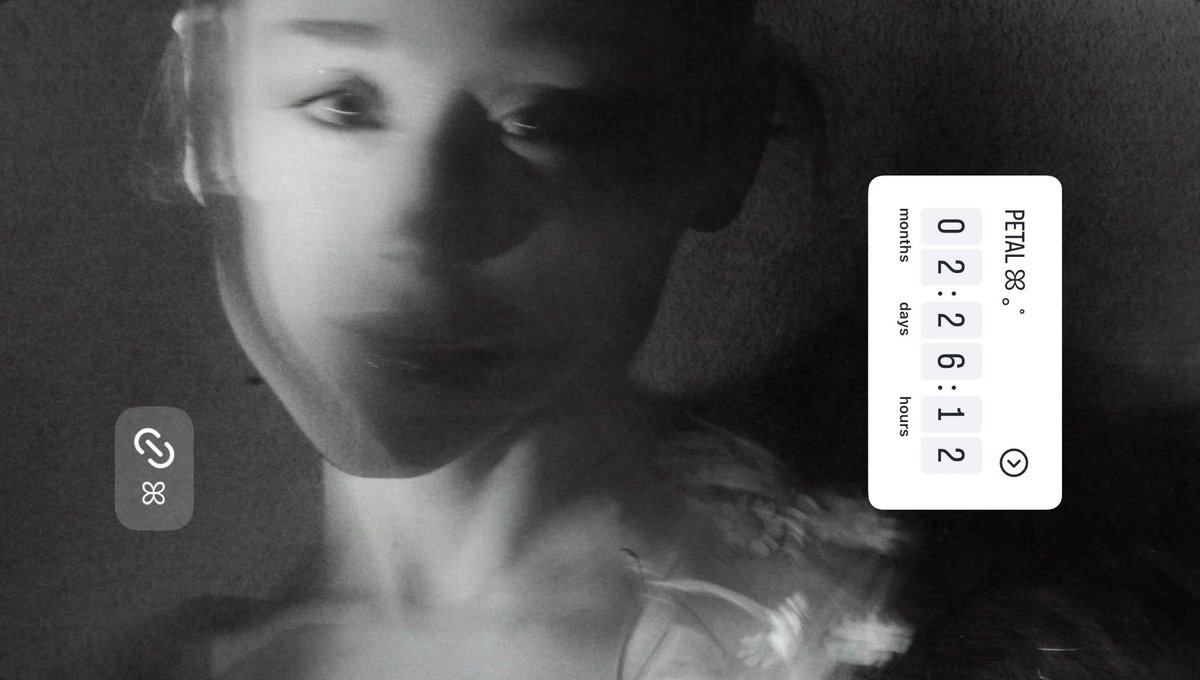 Ariana Grande Today ꕤ tweet media