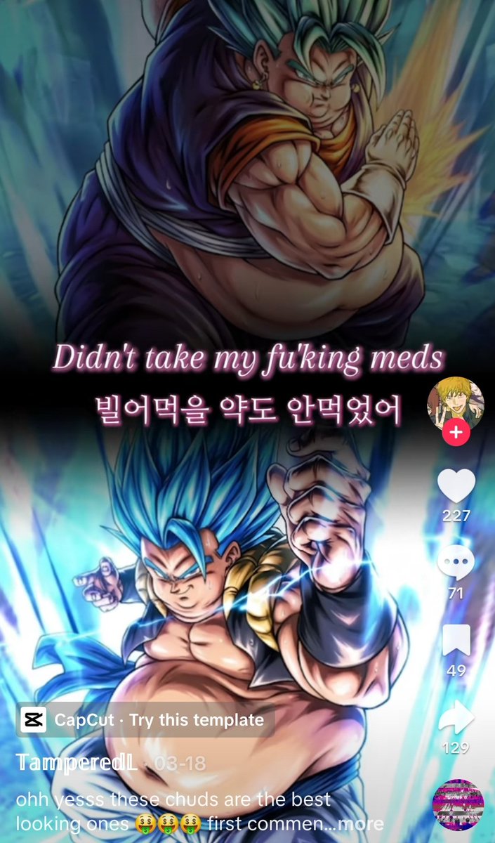 Super Vegito Fan tweet media