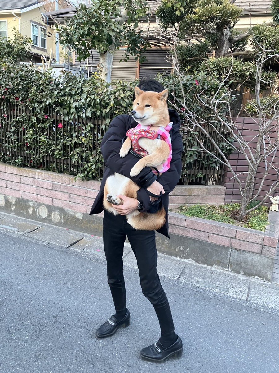 零 tweet media