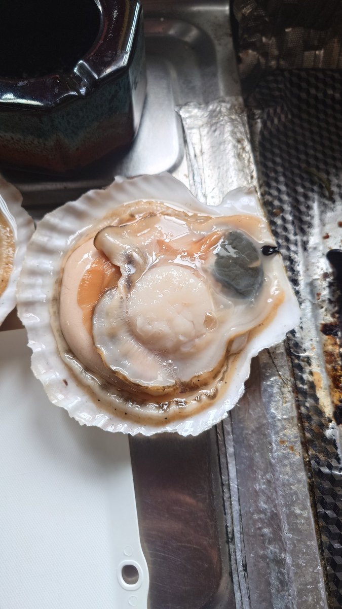 ベンティ徳川🐖 tweet media