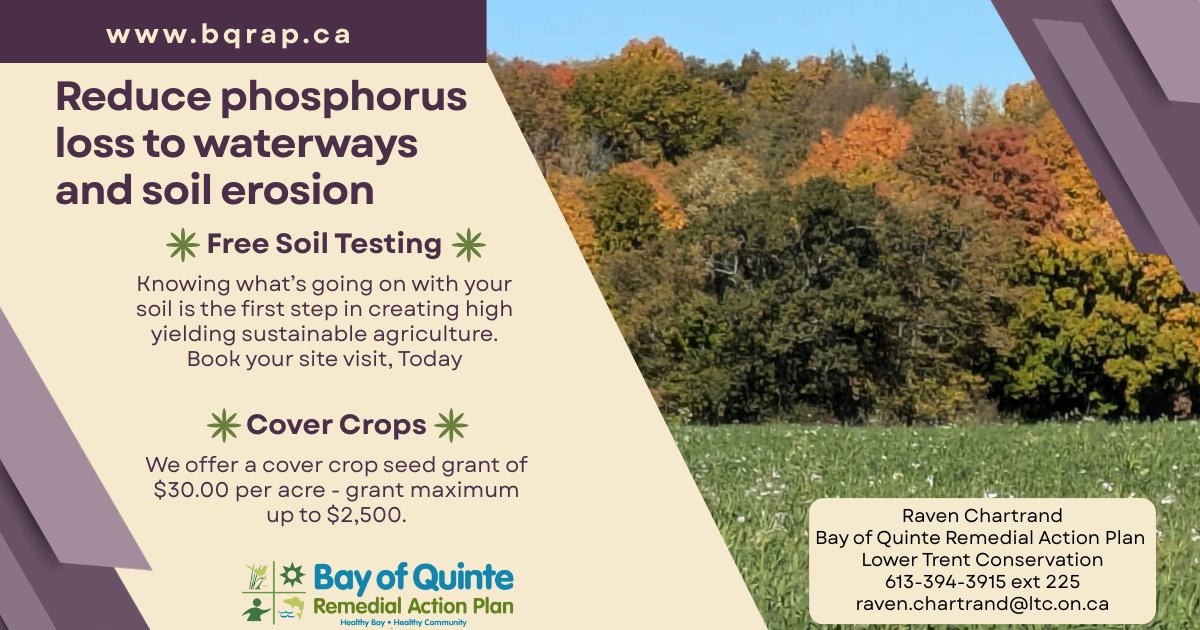 BQRAP's tweet photo. Knowing your baseline nutrient levels and then setting target levels will help save money on fertilizer and reduce phosphorus runoff.
https://t.co/55K68XqixW
@OntAg
@OntarioSoilCrop
@OntarioBeef
@OntarioFarms
@BeefFarmersON https://t.co/lQTRZzqzpU