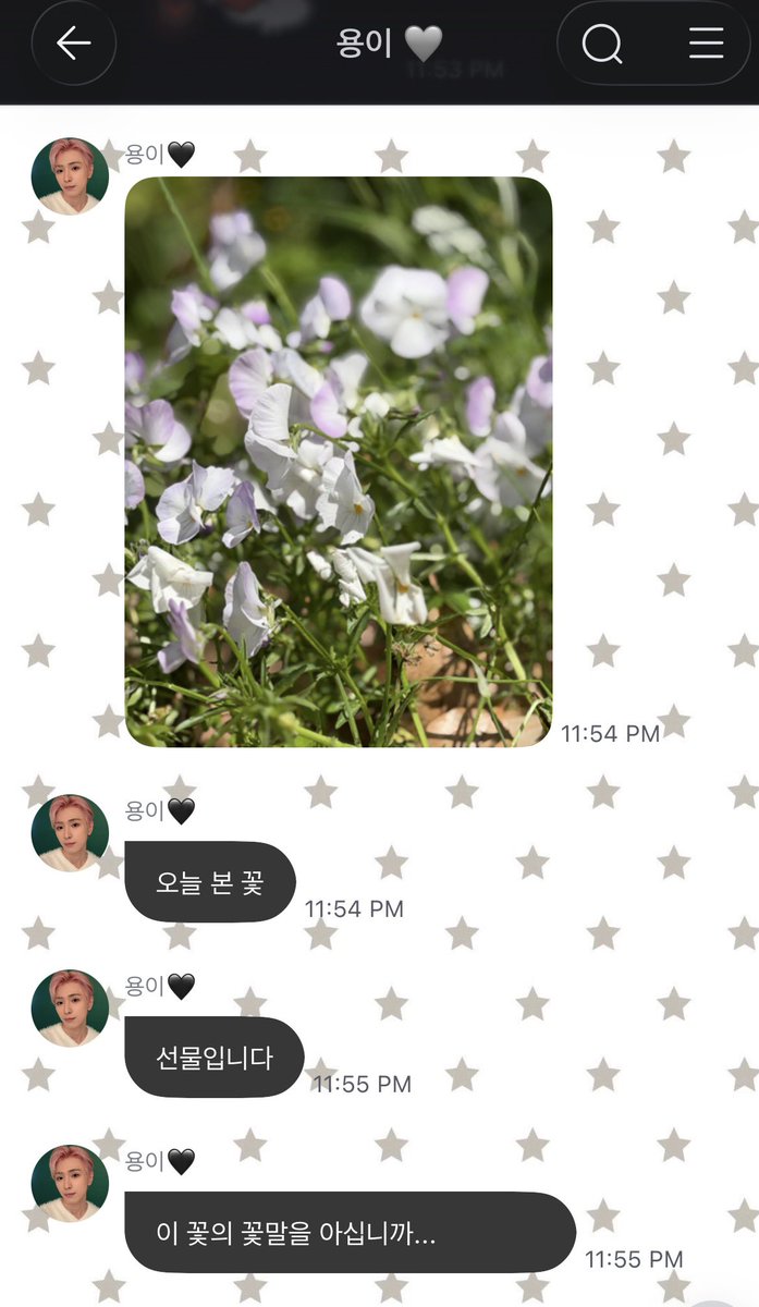 디아🪽 tweet media