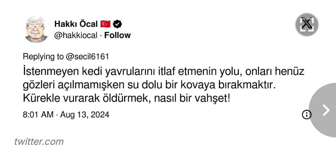 Cemile Bayraktar tweet media