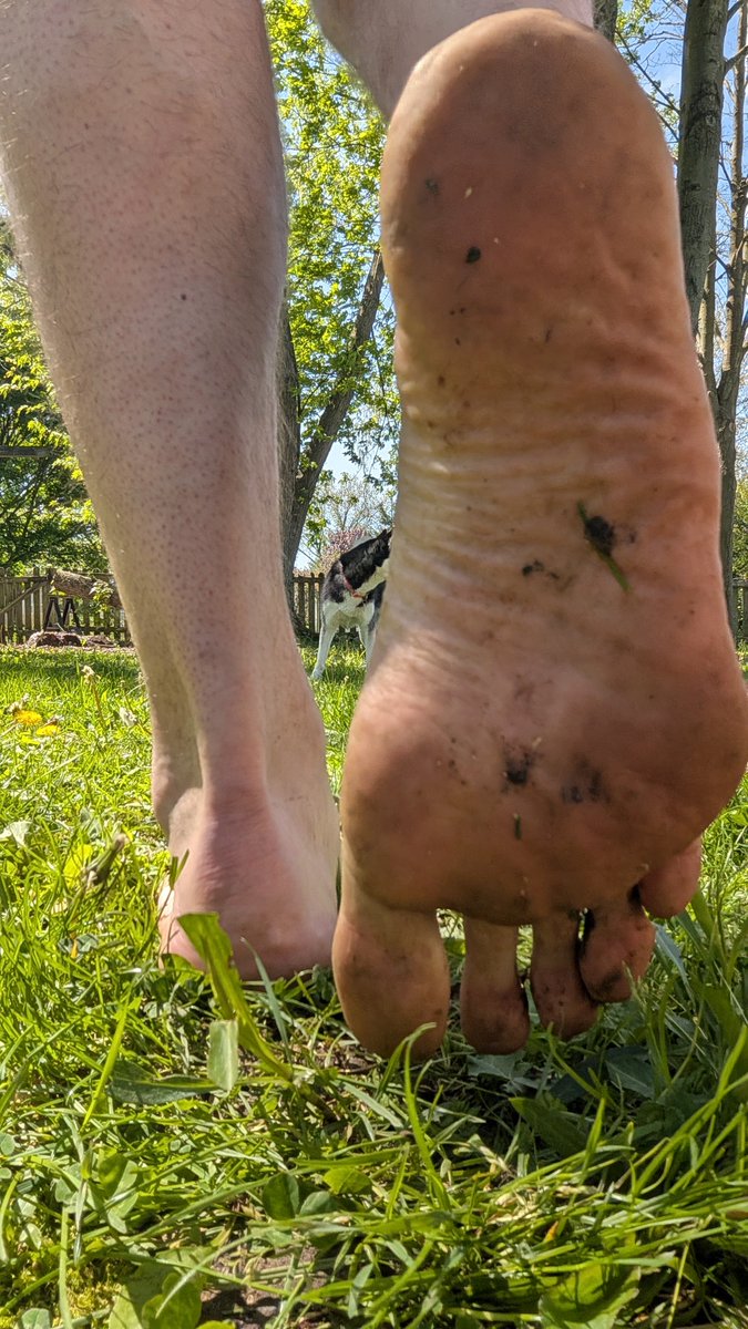 GiantNerdyFeet's tweet photo. Here's a fun one for ya. Just mowed by backyard barefoot. https://t.co/QccuIoK6aN