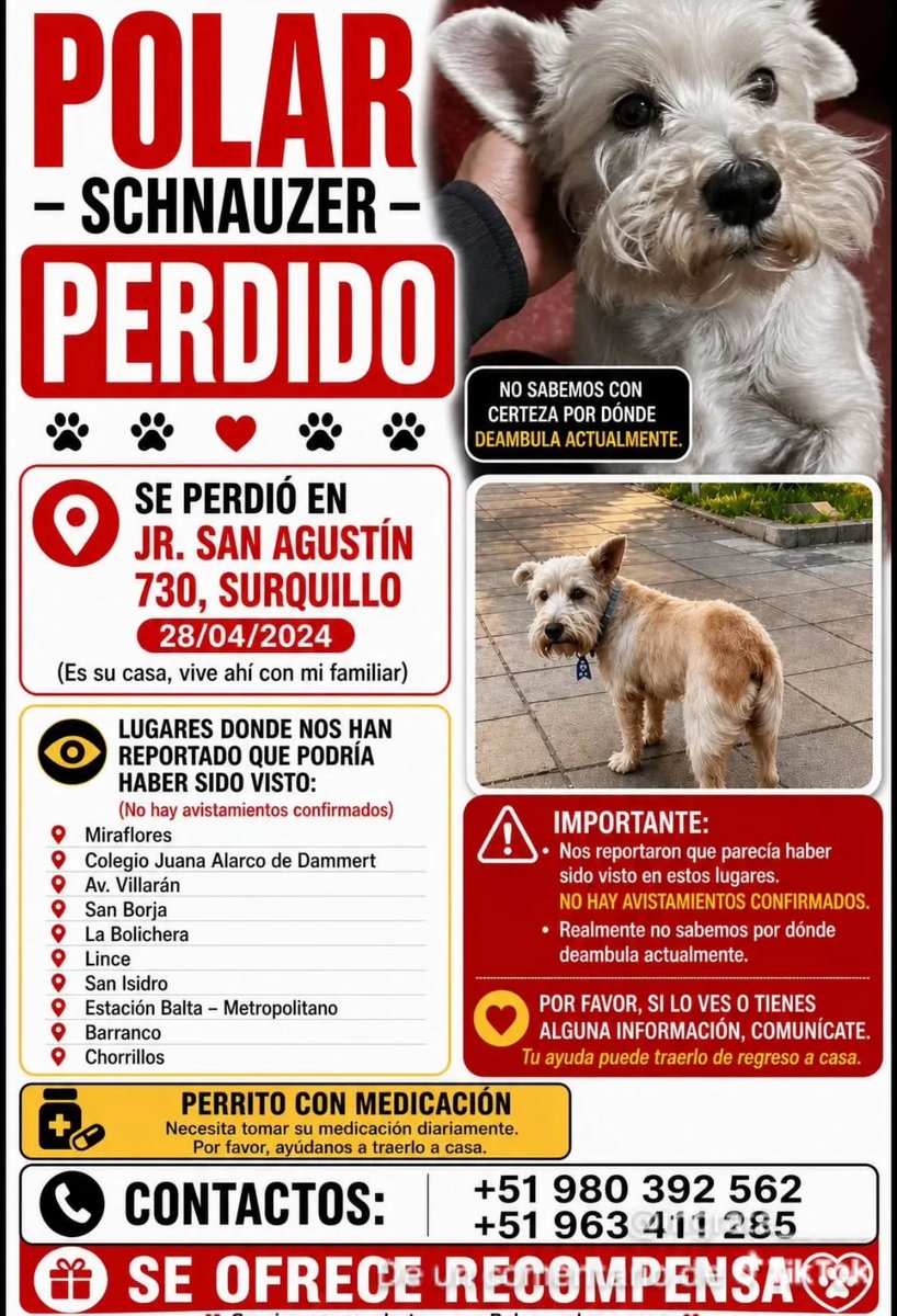 Perrito Schnauzer perdido. Visto última vez en Av. Benavides en Miraflores.
Su familia lo está buscando.