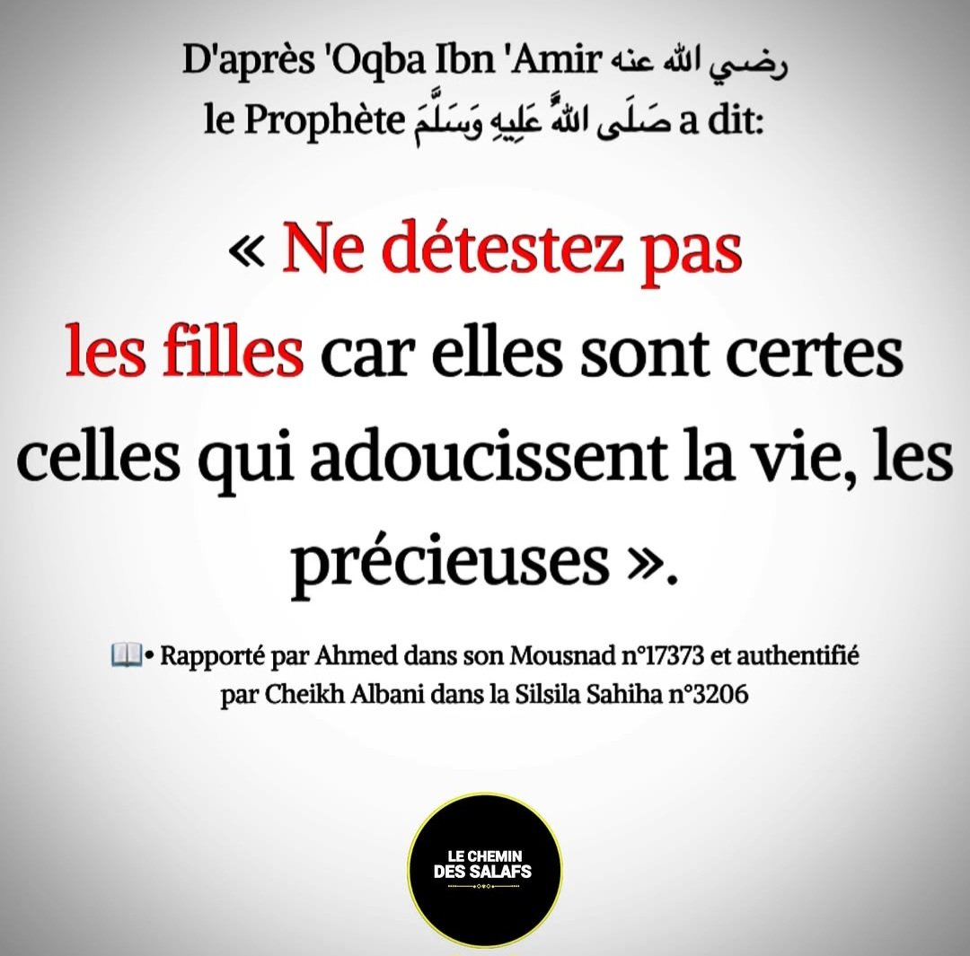 moussa_tawhid tweet media