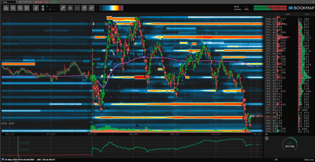 Options Master 🇺🇸 tweet media