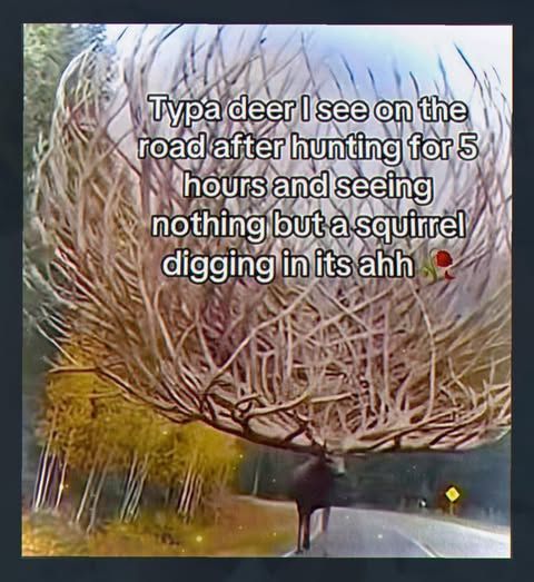 memes to save tweet media