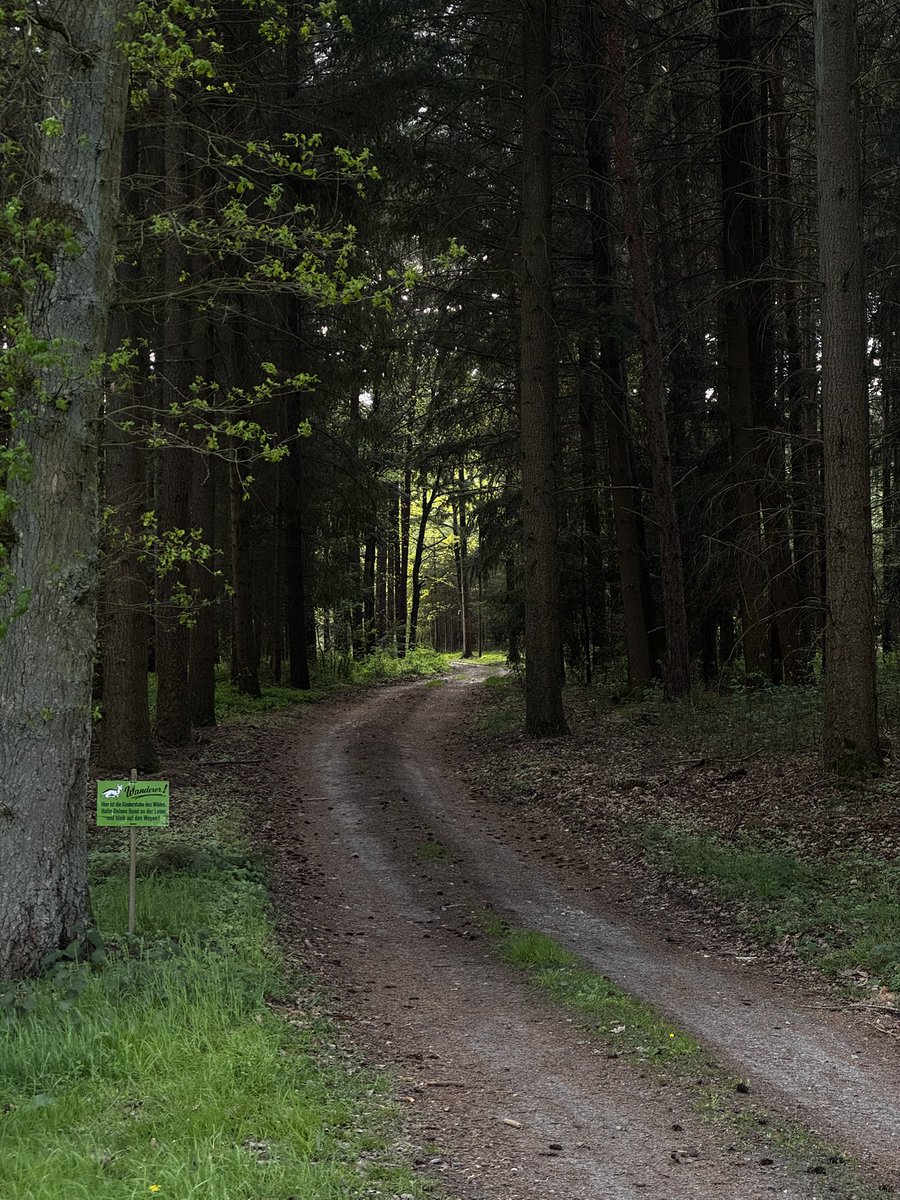 Noch ein bisschen im Wald 🌳 🍀